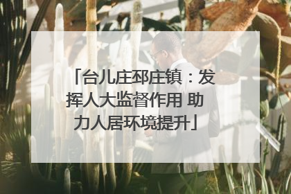 台儿庄邳庄镇：发挥人大监督作用 助力人居环境提升