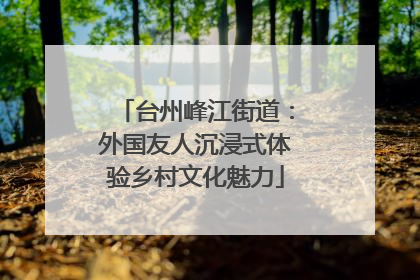 台州峰江街道：外国友人沉浸式体验乡村文化魅力