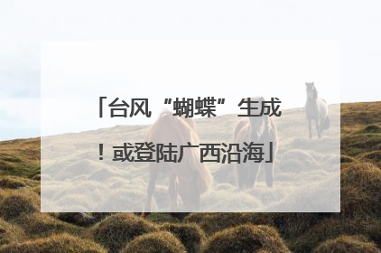 台风“蝴蝶”生成！或登陆广西沿海