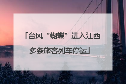台风“蝴蝶”进入江西 多条旅客列车停运