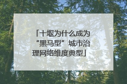 十堰为什么成为“黑马型”城市治理网络维度典型