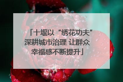 十堰以“绣花功夫”深耕城市治理 让群众幸福感不断提升