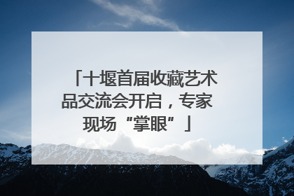 十堰首届收藏艺术品交流会开启，专家现场“掌眼”