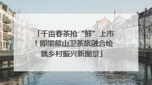 千亩春茶抢“鲜”上市！即墨鳌山卫茶旅融合绘就乡村振兴新图景