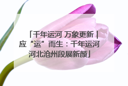 千年运河 万象更新｜应“运”而生：千年运河河北沧州段展新颜