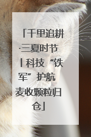 千里追耕·三夏时节丨科技“铁军”护航 麦收颗粒归仓