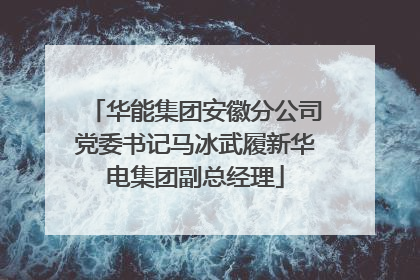 华能集团安徽分公司党委书记马冰武履新华电集团副总经理