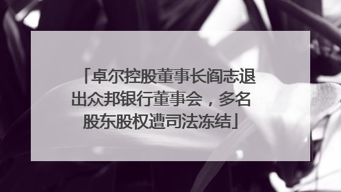卓尔控股董事长阎志退出众邦银行董事会，多名股东股权遭司法冻结