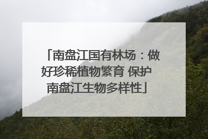 南盘江国有林场：做好珍稀植物繁育 保护南盘江生物多样性