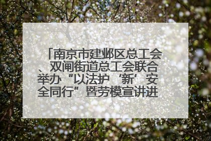 南京市建邺区总工会、双闸街道总工会联合举办“以法护‘新’安全同行”暨劳模宣讲进工地服务活动