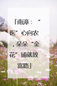 南漳：“医”心向农，朵朵“金花”铺就致富路