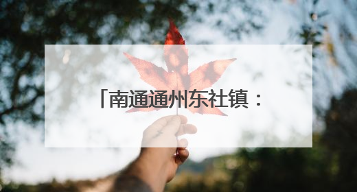 南通通州东社镇：馆校联动拓新篇，移动课堂传忠孝