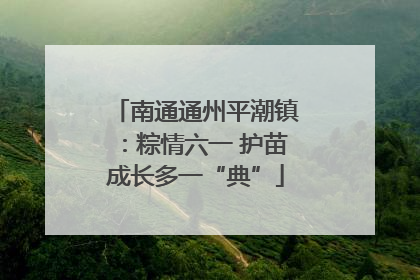 南通通州平潮镇：粽情六一 护苗成长多一“典”