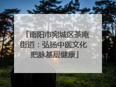 南阳市宛城区茶庵街道：弘扬中医文化 把脉基层健康