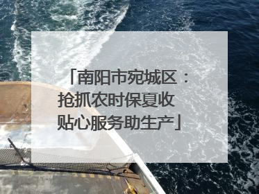 南阳市宛城区：抢抓农时保夏收 贴心服务助生产