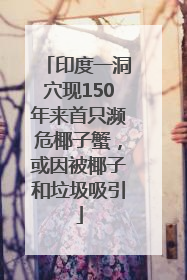 印度一洞穴现150年来首只濒危椰子蟹，或因被椰子和垃圾吸引