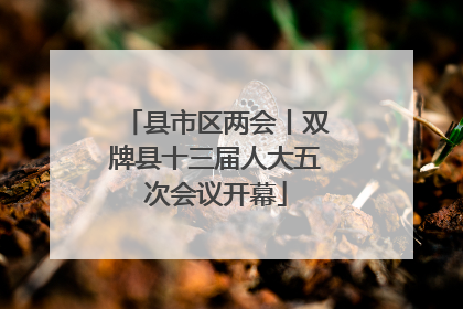 县市区两会丨双牌县十三届人大五次会议开幕