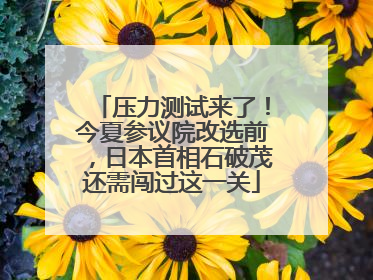 压力测试来了！今夏参议院改选前，日本首相石破茂还需闯过这一关