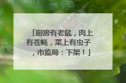 厨房有老鼠，肉上有苍蝇，菜上有虫子，市监局：下架！