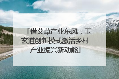 借艾草产业东风，玉玄道创新模式激活乡村产业振兴新动能