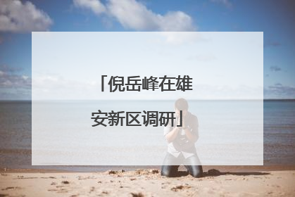 倪岳峰在雄安新区调研