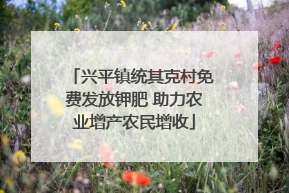 兴平镇统其克村免费发放钾肥 助力农业增产农民增收