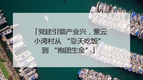 党建引领产业兴，紫云小湾村从 “靠天吃饭” 到 “抱团生金”