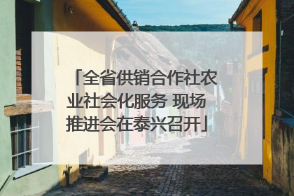 全省供销合作社农业社会化服务 现场推进会在泰兴召开
