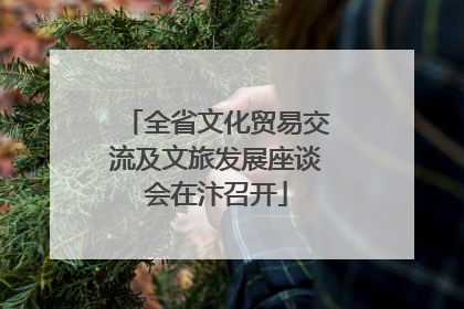 全省文化贸易交流及文旅发展座谈会在汴召开