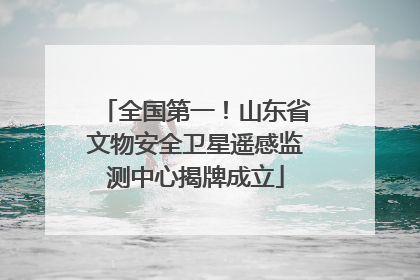 全国第一！山东省文物安全卫星遥感监测中心揭牌成立