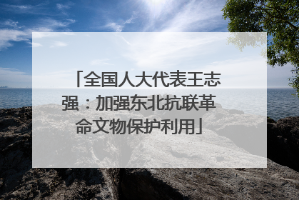 全国人大代表王志强：加强东北抗联革命文物保护利用