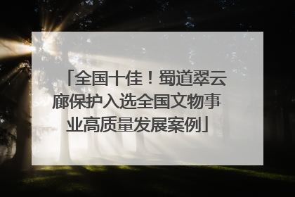 全国十佳！蜀道翠云廊保护入选全国文物事业高质量发展案例