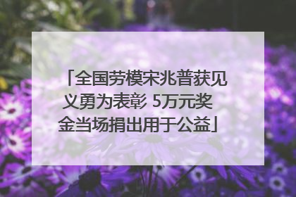 全国劳模宋兆普获见义勇为表彰 5万元奖金当场捐出用于公益