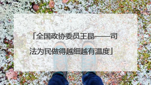 全国政协委员王昆——司法为民做得越细越有温度