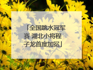 全国跳水冠军赛 湖北小将程子龙首度加冕