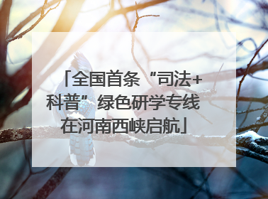 全国首条“司法+科普”绿色研学专线在河南西峡启航