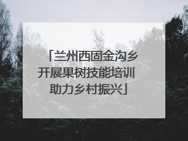 兰州西固金沟乡开展果树技能培训 助力乡村振兴