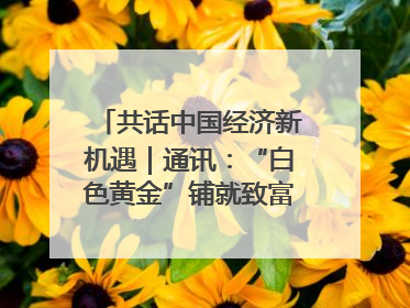 共话中国经济新机遇｜通讯：“白色黄金”铺就致富路——中国技术助力科特迪瓦橡胶产业增产增效