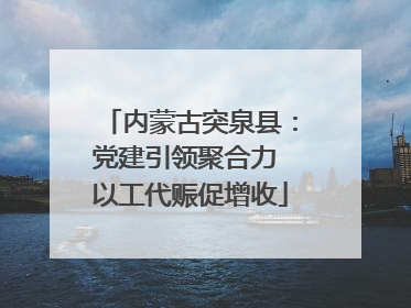 内蒙古突泉县：党建引领聚合力 以工代赈促增收