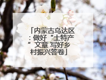 内蒙古乌达区：做好“土特产”文章 写好乡村振兴答卷