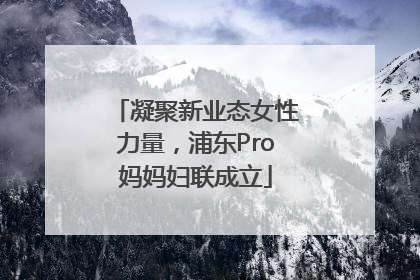 凝聚新业态女性力量，浦东Pro妈妈妇联成立