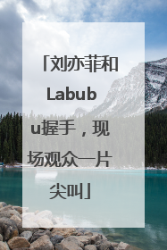 刘亦菲和Labubu握手，现场观众一片尖叫