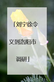 刘宁徐令义到洛阳市调研