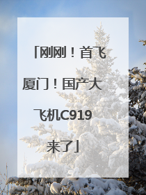 刚刚！首飞厦门！国产大飞机C919来了