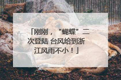刚刚，“蝴蝶”二次登陆 台风给到浙江风雨不小！