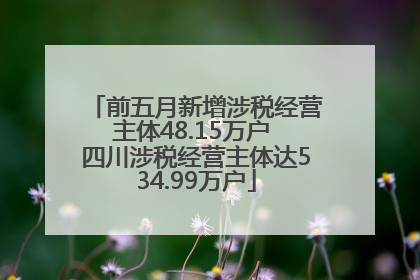 前五月新增涉税经营主体48.15万户 四川涉税经营主体达534.99万户