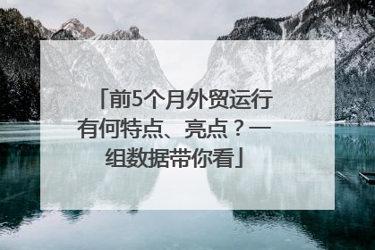 前5个月外贸运行有何特点、亮点？一组数据带你看