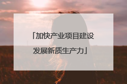加快产业项目建设 发展新质生产力