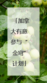 加拿大有意参与“金穹”计划