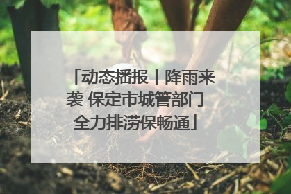 动态播报丨降雨来袭 保定市城管部门全力排涝保畅通